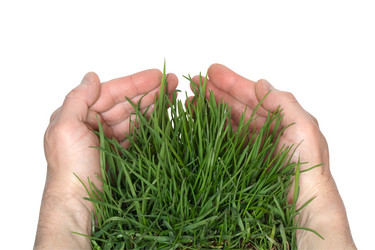 Similar image 266240