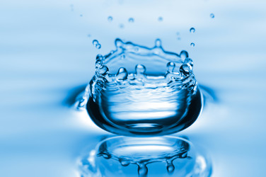 Similar image 266247