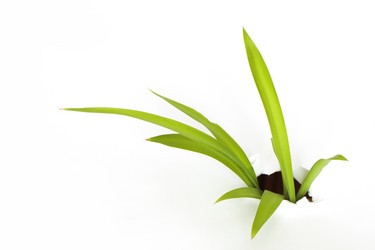 Similar image 266258