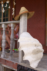 Similar image 266395