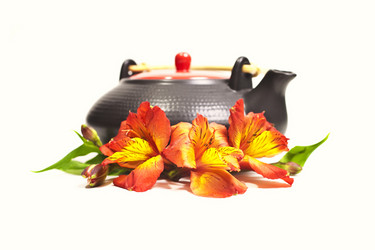 Similar image 266463