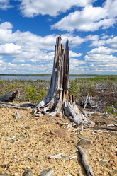 Similar image 266496