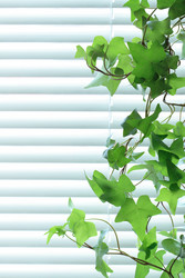 Similar image 266498