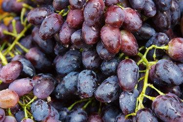 Similar image 266566