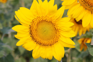 Similar image 266571