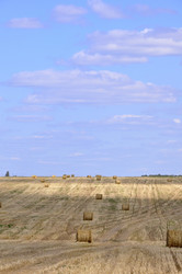 Similar image 266656