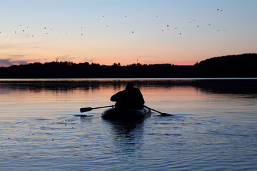 Similar image 266684