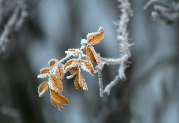 Similar image 266694