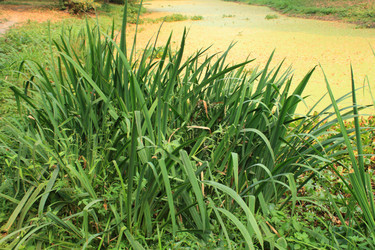 Similar image 266696