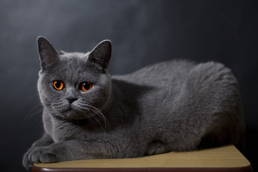 Similar image 266698