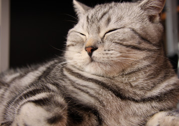 Similar image 266711