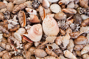 Similar image 266715