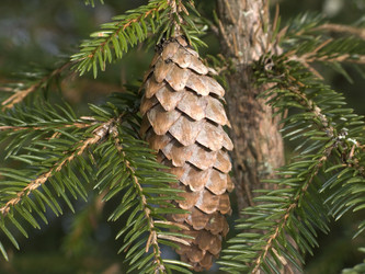 Similar image 266774