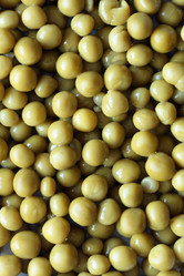 Similar image 266780