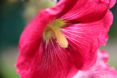 Similar image 266784