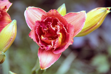 Similar image 266786