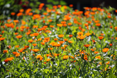 Similar image 266790