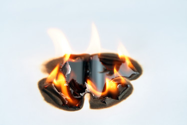 Similar image 266814