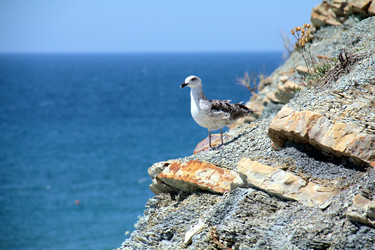 Similar image 266818