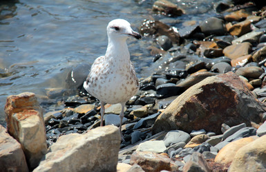 Similar image 266823