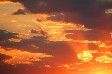 Similar image 266851