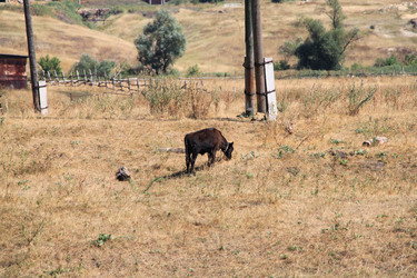 Similar image 266959