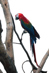 Similar image 266965