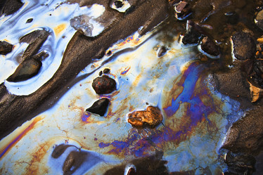 Similar image 266994