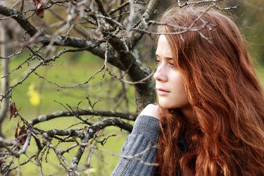 Similar image 267019