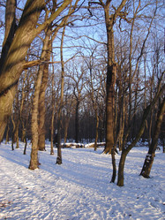 Similar image 267099