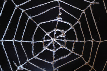 Similar image 267106