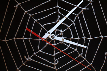 Similar image 267114