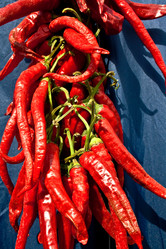 Similar image 267121