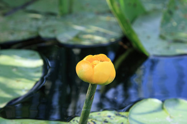 Similar image 267161