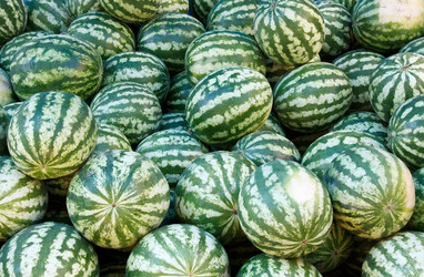 Similar image 267209