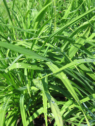 Similar image 267225