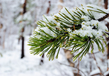 Similar image 267230