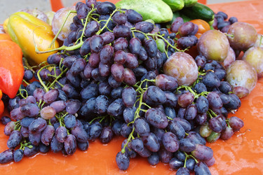 Similar image 267249