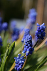 Similar image 267271