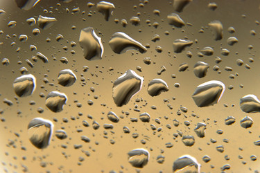 Similar image 267273