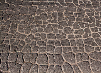 Similar image 267313