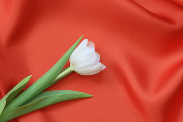 Similar image 267404