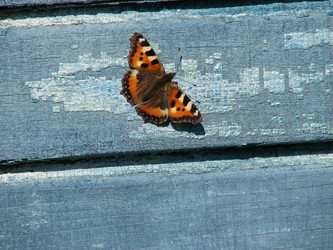 Similar image 267430