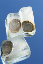 Similar image 267444