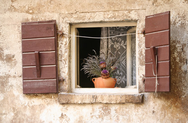 Similar image 267516