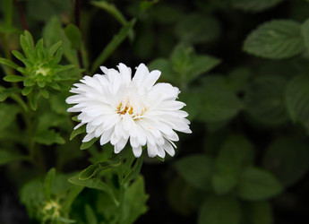 Similar image 267604