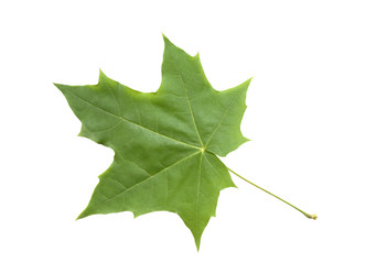 Similar image 267623