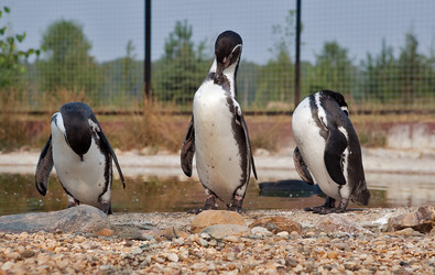 Similar image 267721