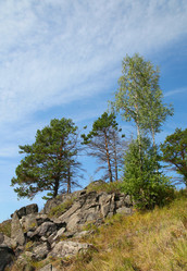 Similar image 267760