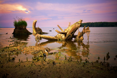 Similar image 267814